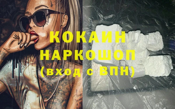 соль ск Алексин