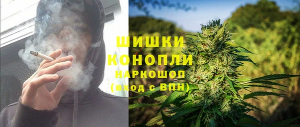 соль ск Алексин