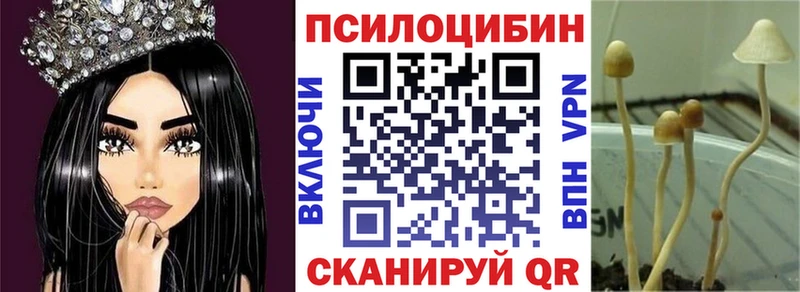 Псилоцибиновые грибы Psilocybe  где можно купить наркотик  Канск 